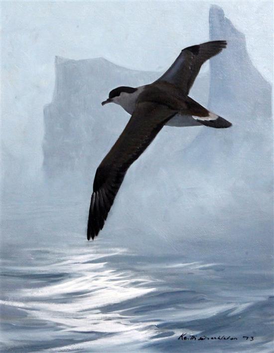 § Keith Shackleton (1923-2015) Iceberg, Mist and Shearwater: Cape Farewell 17.5 x 13.5in.